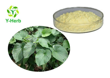 Water Insoluble Kavalactone Extract 30% 70% 10:1 Fiji Kava Root Extract Powder