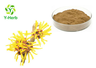 Popular Skin Care Natural Cosmetic Ingredients Pure Powder Witch Hazel Extract