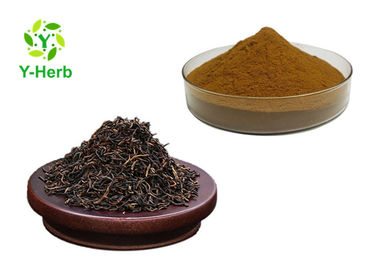 Instant Pu Erh Tea Extract Water Soluble Puer Leaf Powder Bulk Polyphenlos