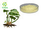 Pharmaceutical Grade Kavalactone Extract Powder 30%-80% Bulk Kava Root Extract