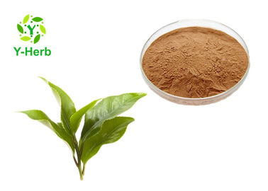 Organic Green Tea Extract Powder Tea Polyphenols 98% 40% 20% Oil Soluble 84650-60-2