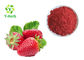 FD Method Freeze Dried Strawberry Powder Organic Strawberry Sliced Pieces Powder